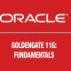 Oracle GoldenGate 11g: Fundamentals