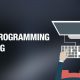 C++ Programming Training Course
